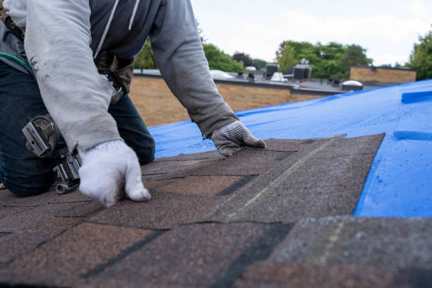 Gutter Installation and Roofing in Monticello, LA